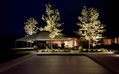 Revitalize Your Entire Backyard with Stylish Outdoor Lighting